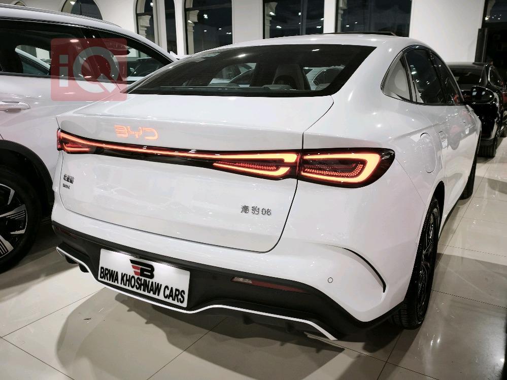 بي واي دي سيل 06 DM-i